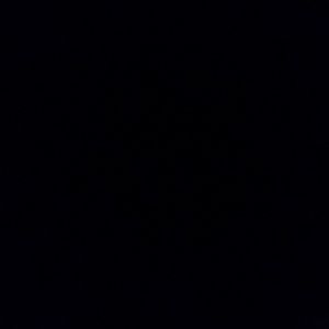 Meet your Posher, Misty